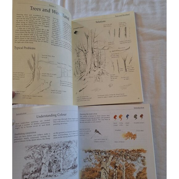 2 Trouble-Shooting Drawing & Watercolor Problems And Solutions By Trudy Friend - Picture 4 of 6